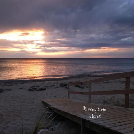 Iliovasilema Hotel Mytikas  Bagian luar foto