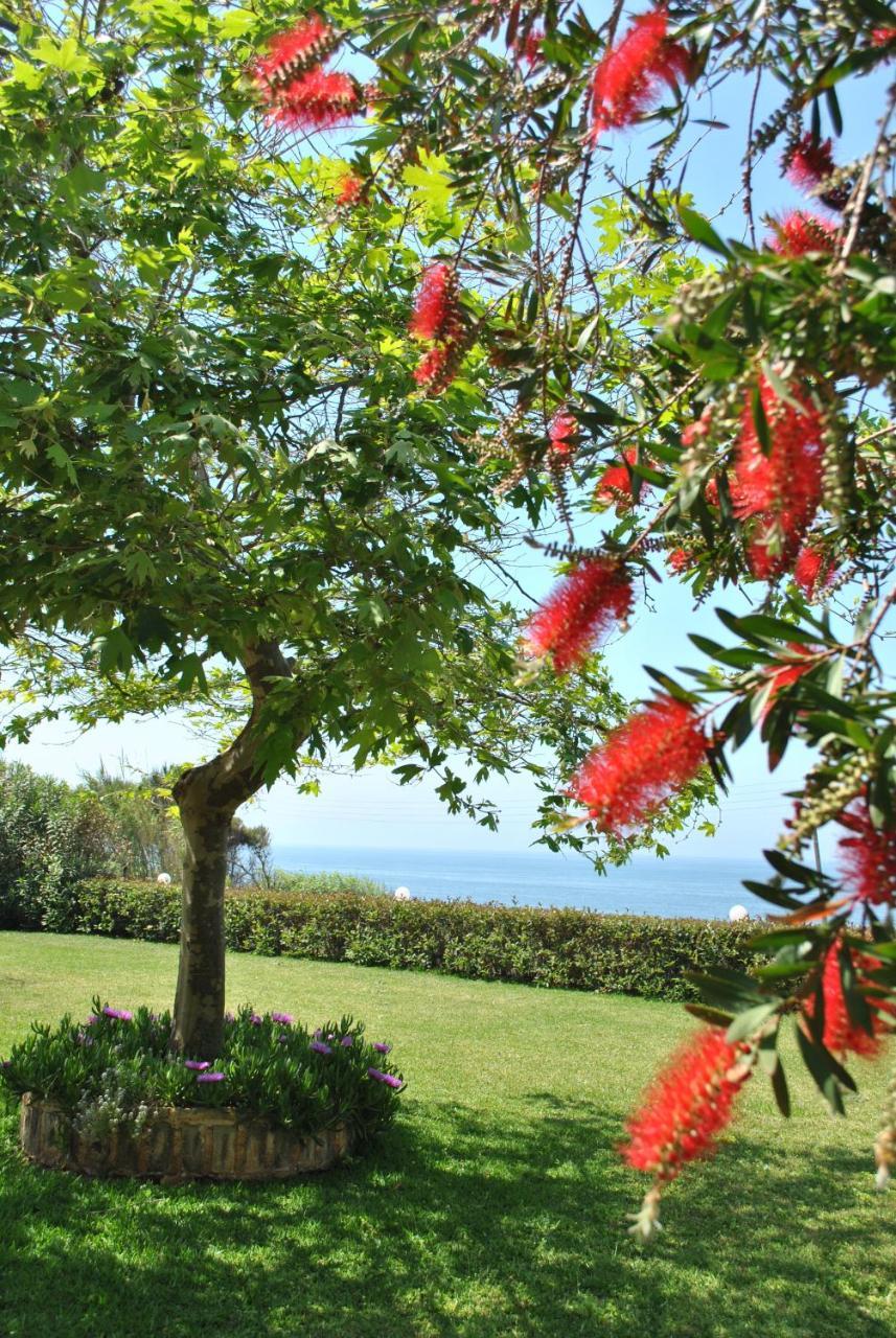 Iliovasilema Hotel Mytikas  Bagian luar foto